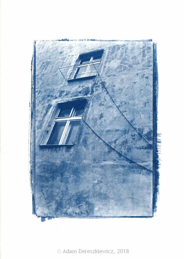 Cyanotype print from digital negative