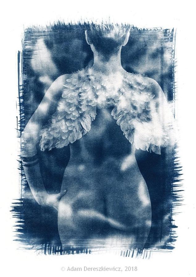 Multilayer cyanotype fine art nude sandwich print, handmade