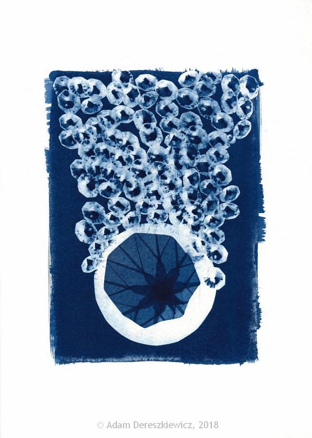 Cyanotype handmade print - unique art item abstract geometric