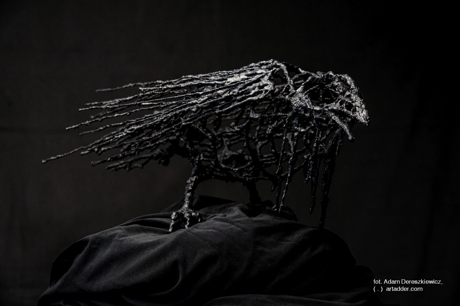 creative-product-photography_adam-dereszkiewicz_DSC0303_tobba-sculpture-raven-2023web