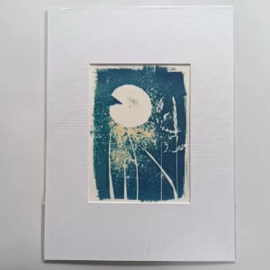 artadder_2025_cyanotypes4sale_0003-KEF