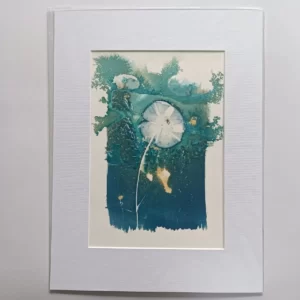 artadder_2025_cyanotypes4sale_0005-KEF