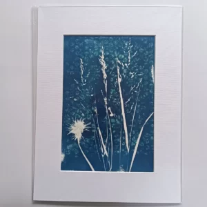 artadder_2025_cyanotypes4sale_0006-KEF