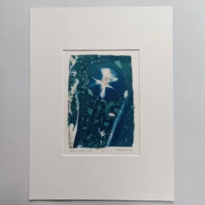 artadder_2025_cyanotypes4sale_0009-KEF