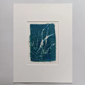 artadder_2025_cyanotypes4sale_0010-KEF
