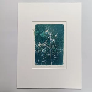 artadder_2025_cyanotypes4sale_0011-KEF
