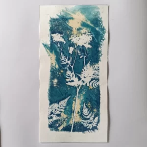 artadder_2025_cyanotypes4sale_0012-KEF