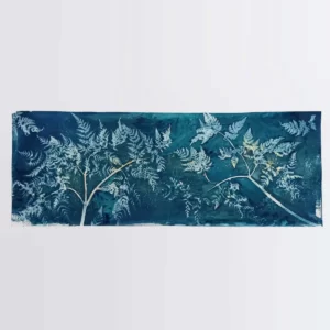 artadder_2025_cyanotypes4sale_0016-KEF